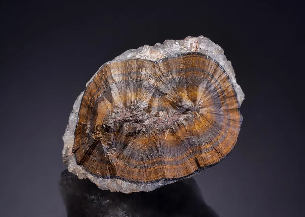 GOETHITE var. Wood Iron with QUARTZ image