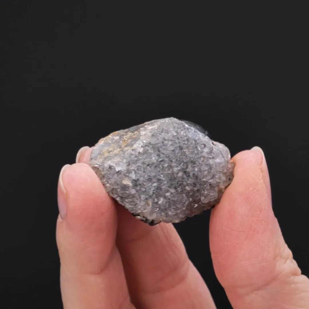 Goethite var. Wood Iron with Quartz - image 2