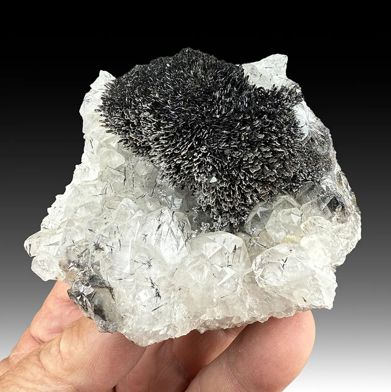 Goethite with Quartz - image 1