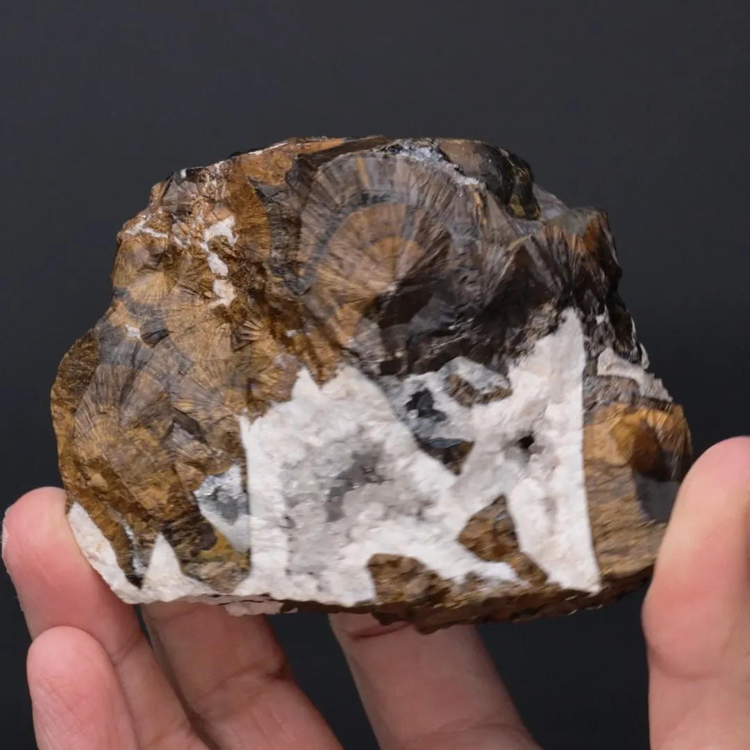 Goethite with Quartz - image 2