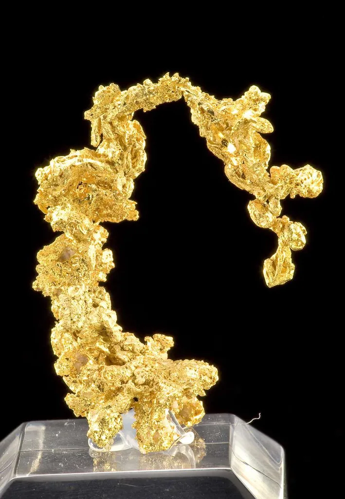 Gold - image 2