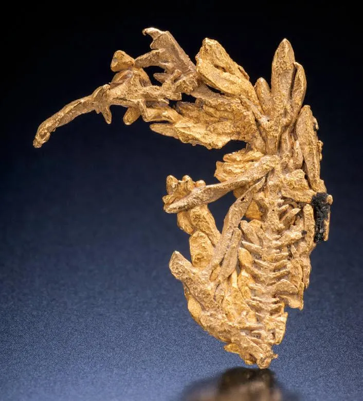 Gold image