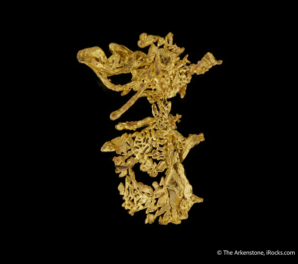 Gold - image 4