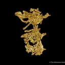 Gold - image 4