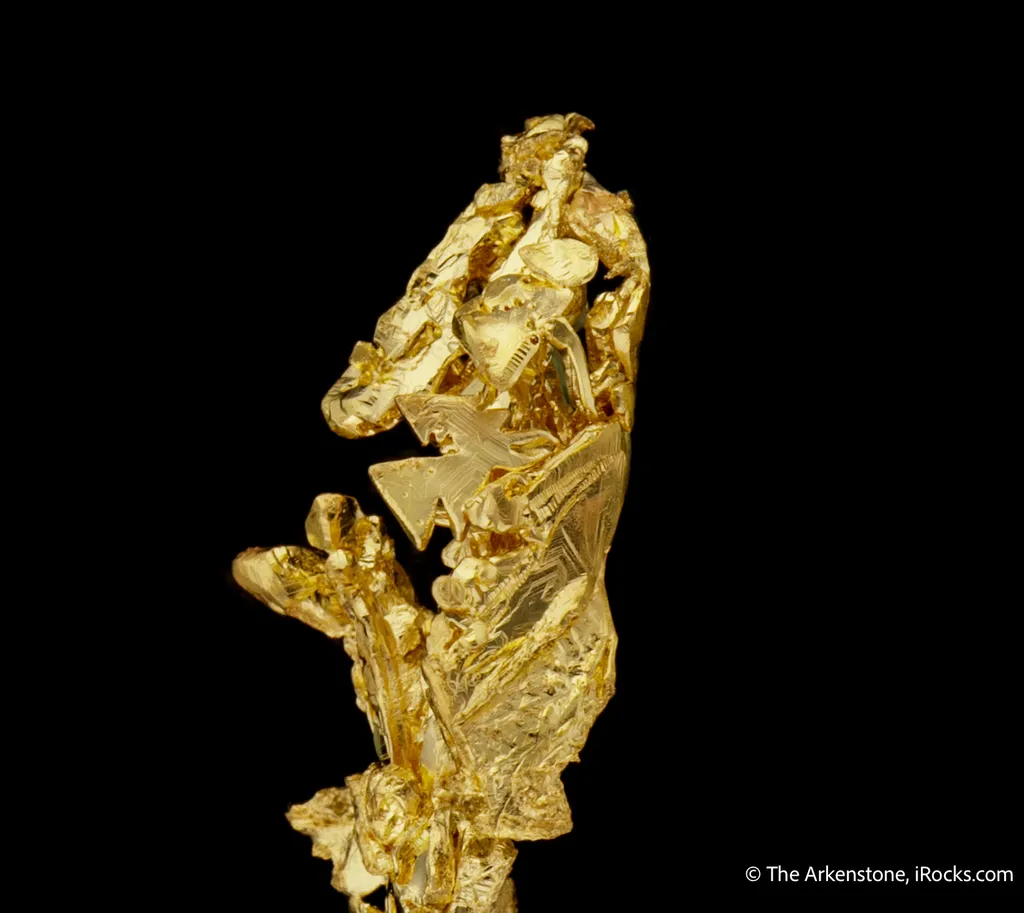 Gold - image 1