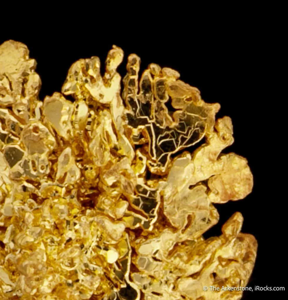 Gold - image 6