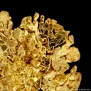 Gold - image 6
