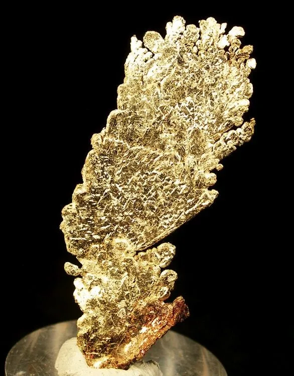 Gold image