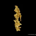 Gold - image 4