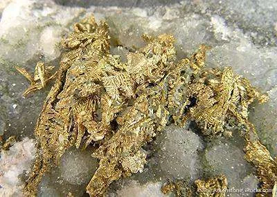 Gold - image 3