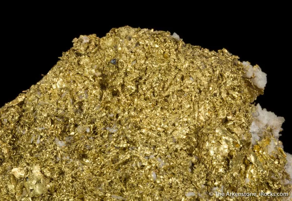 Gold - image 5