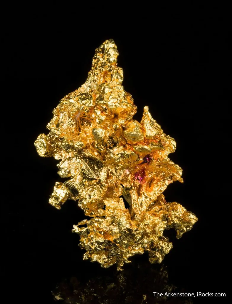 Gold - image 3