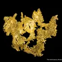 Gold - image 4