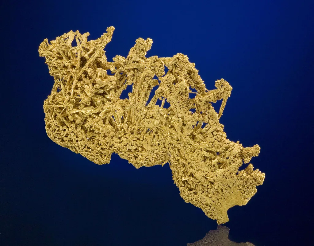 Gold - image 2