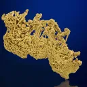 Gold - image 2