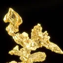 Gold - image 1