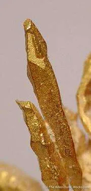 Gold - image 2