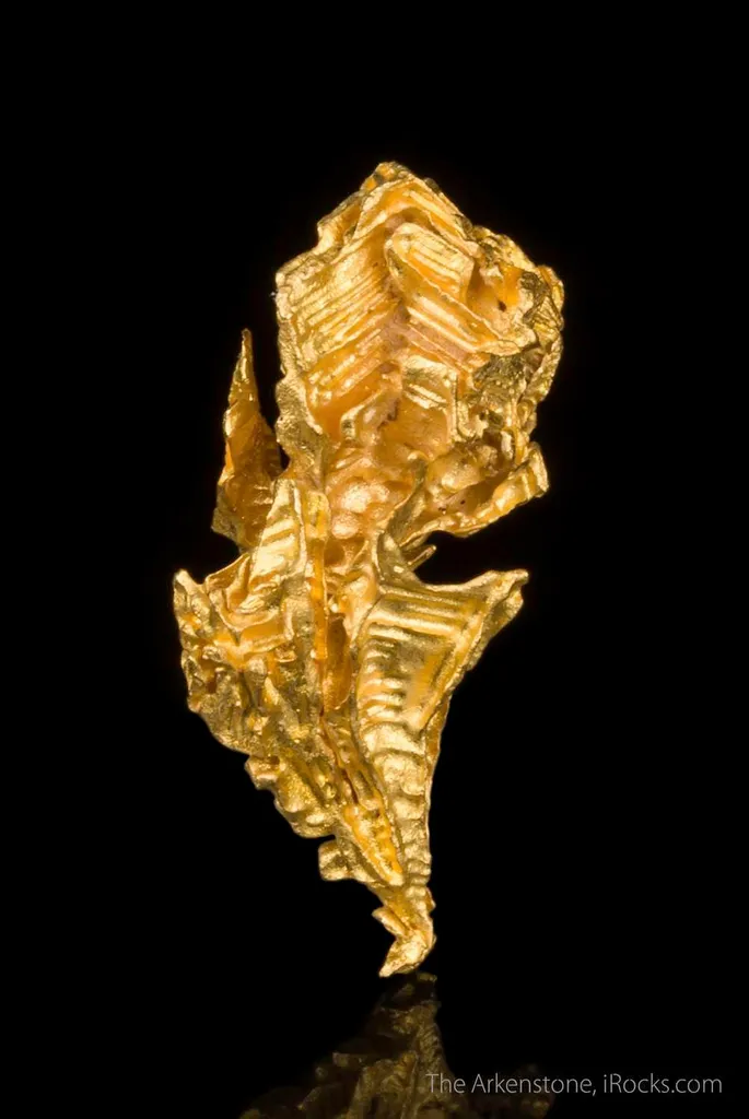 Gold - image 2