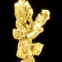 Gold - image 1