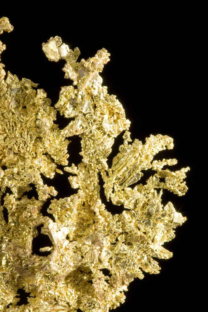 Gold - image 6