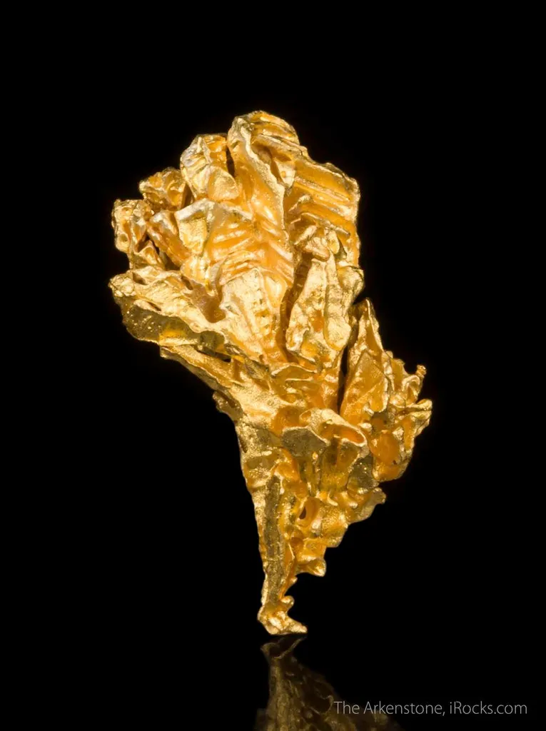 Gold - image 3