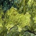 Gold - image 1