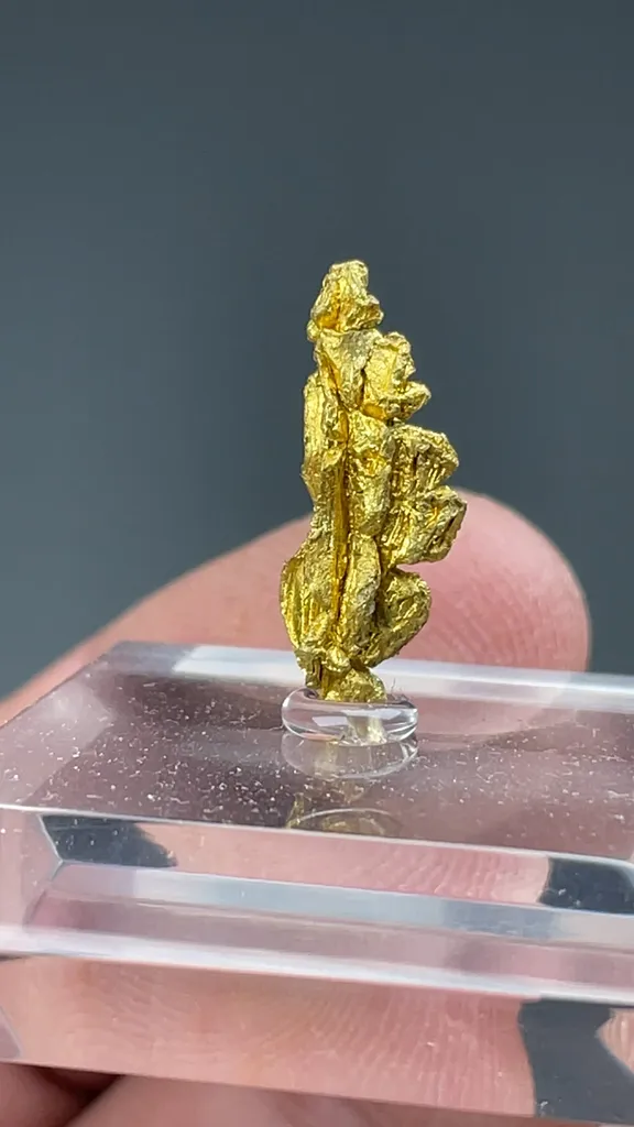 Gold - image 2