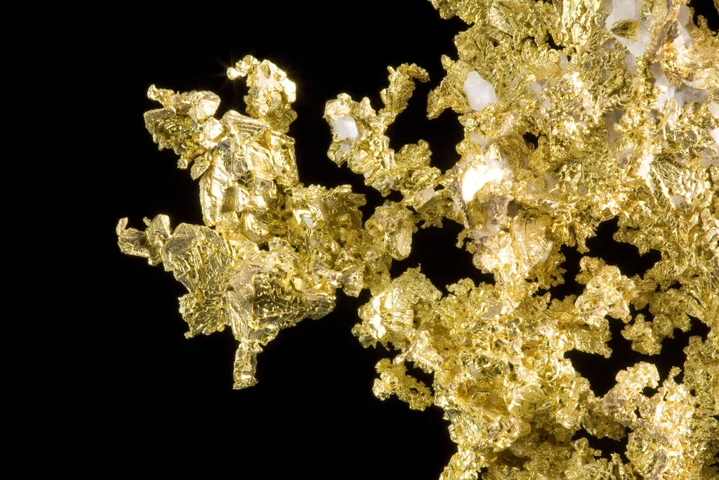Gold - image 5