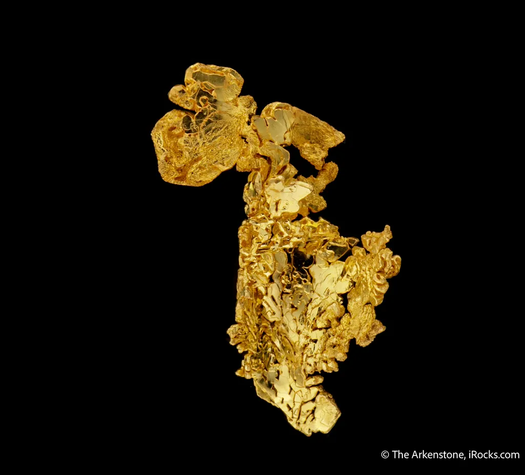 Gold - image 6