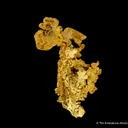 Gold - image 6