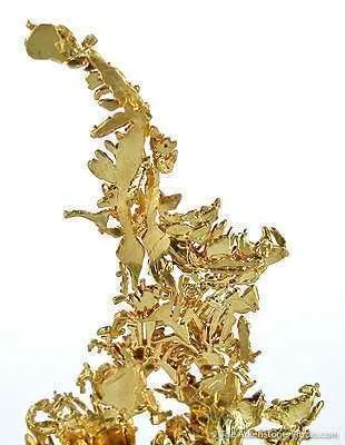 Gold - image 3