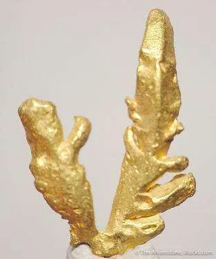 Gold image