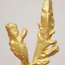 Gold - image 1