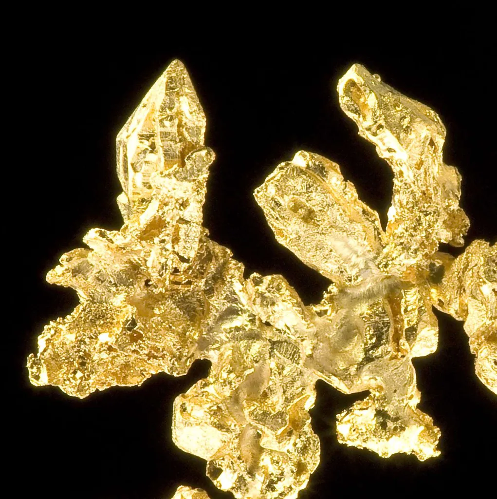 Gold - image 3