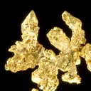Gold - image 3