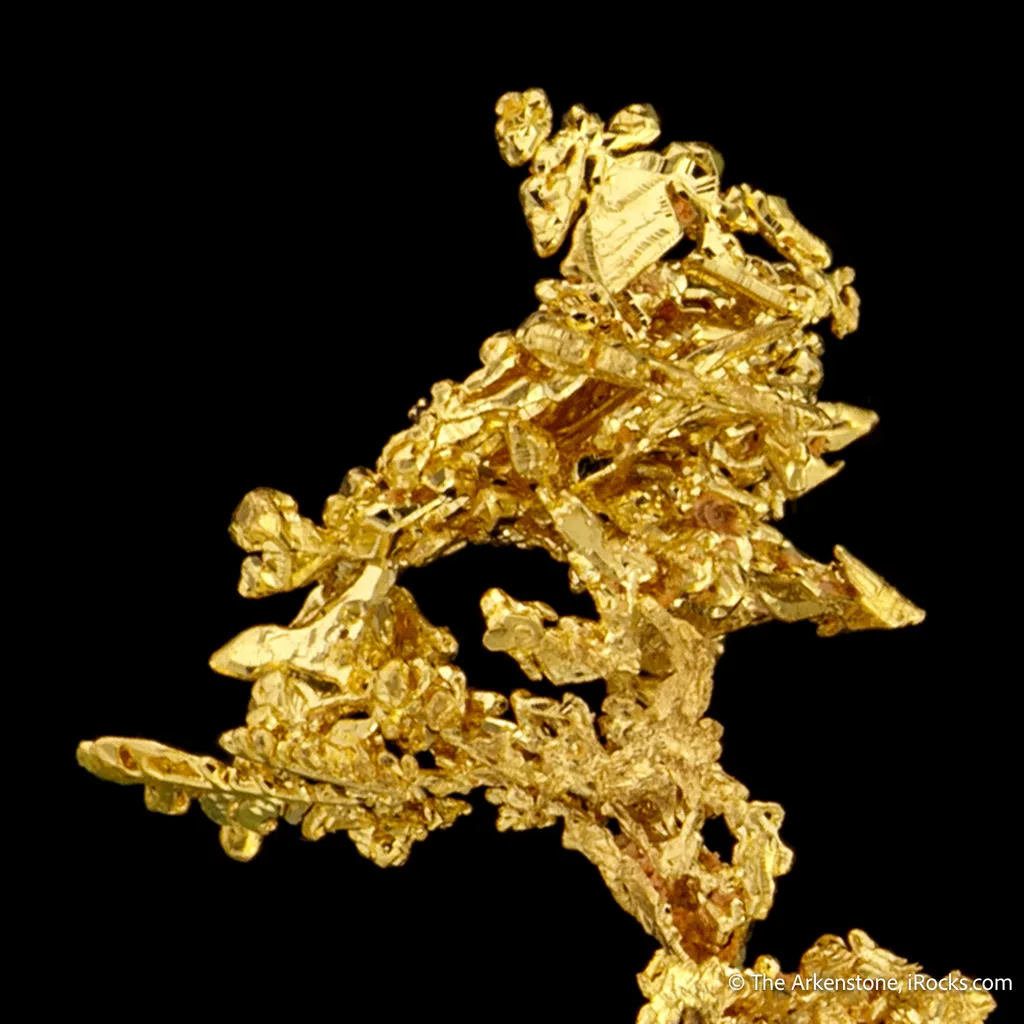 Gold - image 5