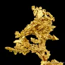 Gold - image 5