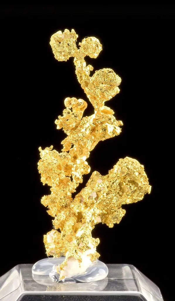 Gold - image 2