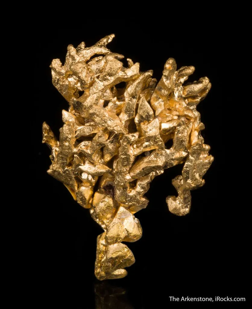 Gold - image 2