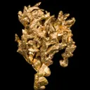 Gold - image 2