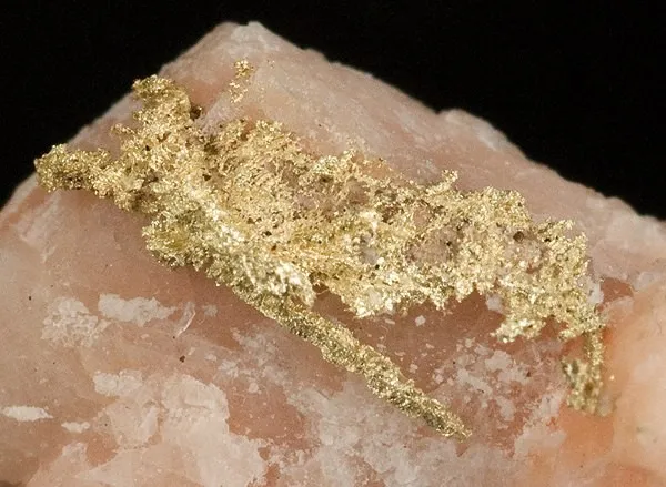 Gold - image 2