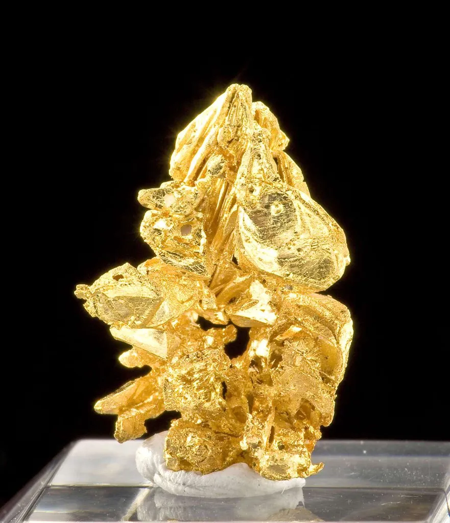 Gold image