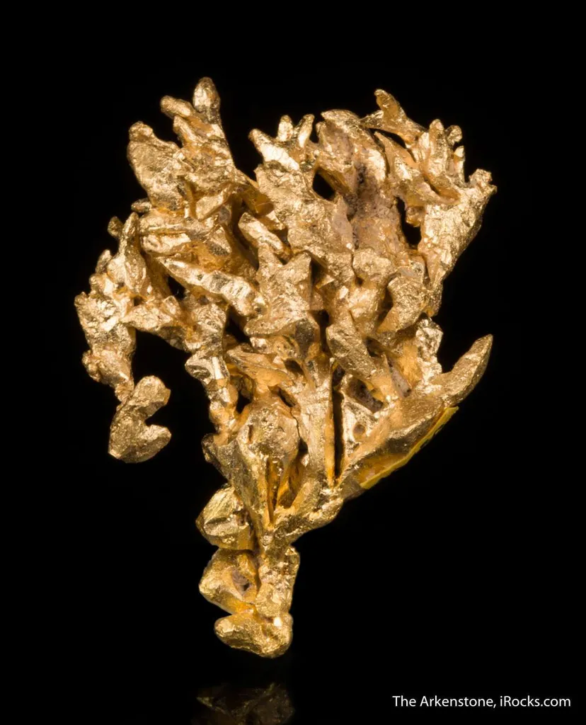 Gold - image 4