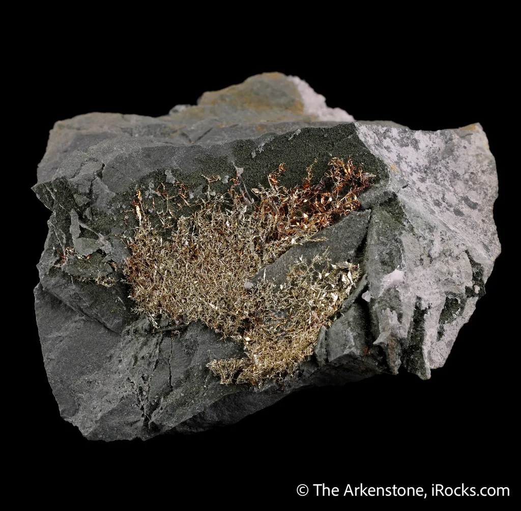 Gold - image 4