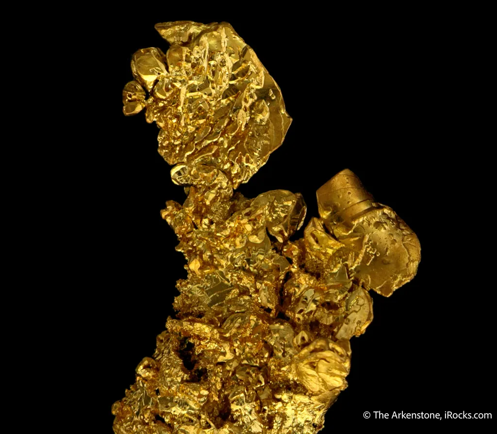 Gold - image 6