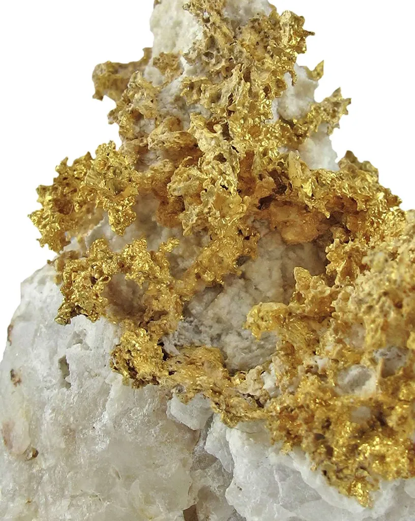 Gold - image 2