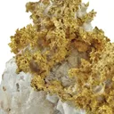 Gold - image 2