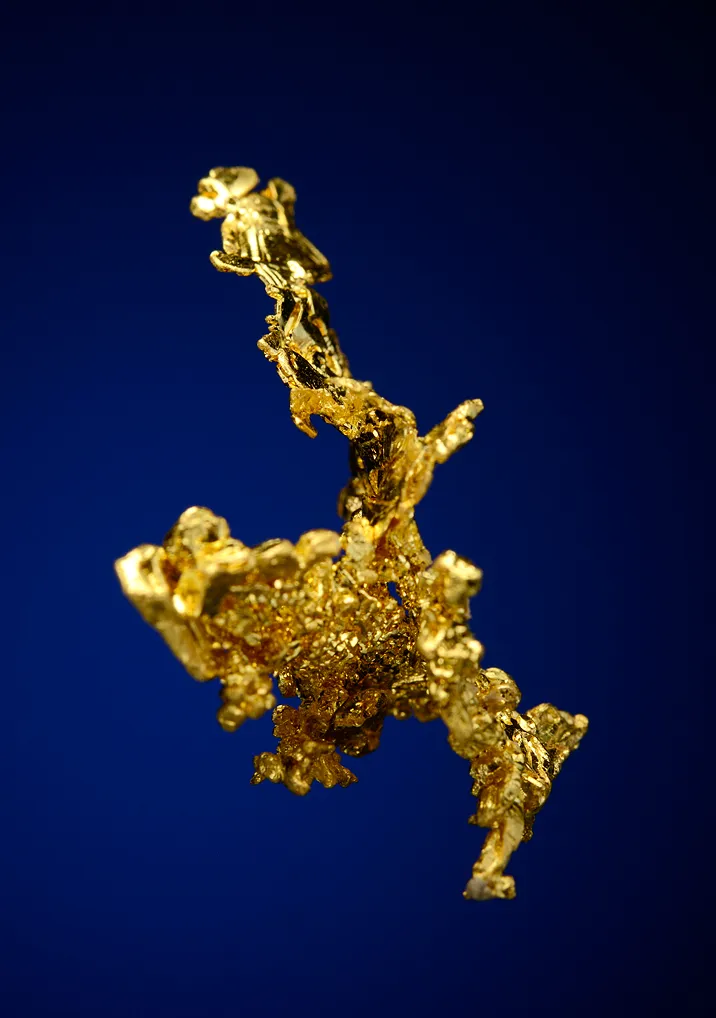 Gold - image 2