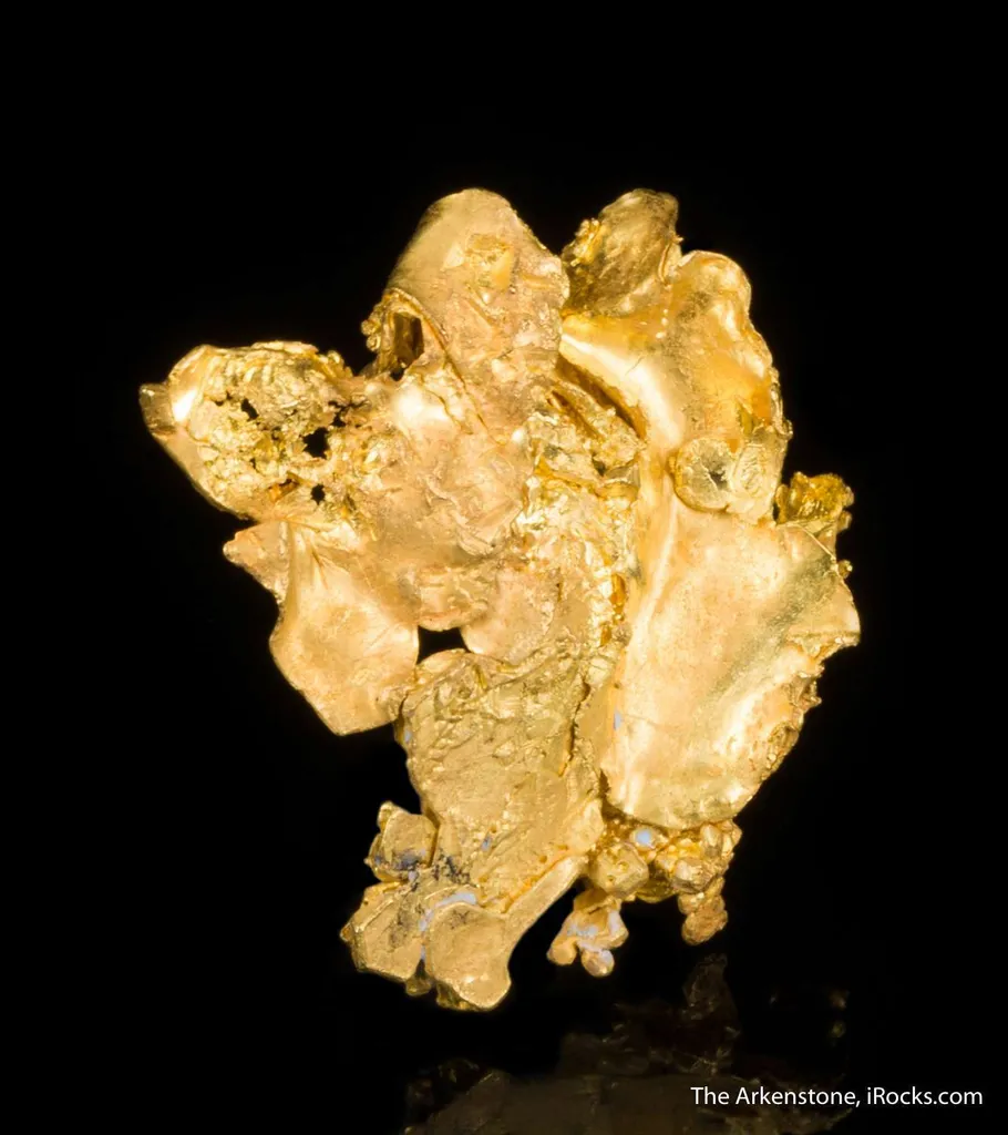 Gold - image 5