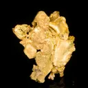Gold - image 5